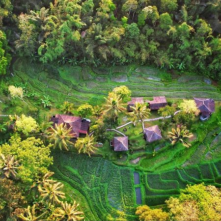Oemah Tepi Sawah Villa Jatiluwih Eksteriør billede