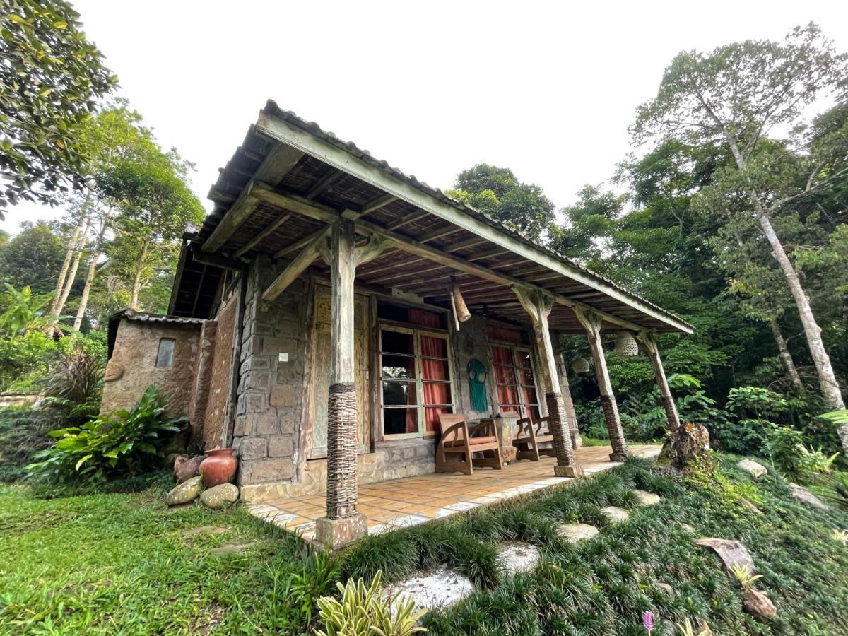 Oemah Tepi Sawah Villa Jatiluwih Eksteriør billede