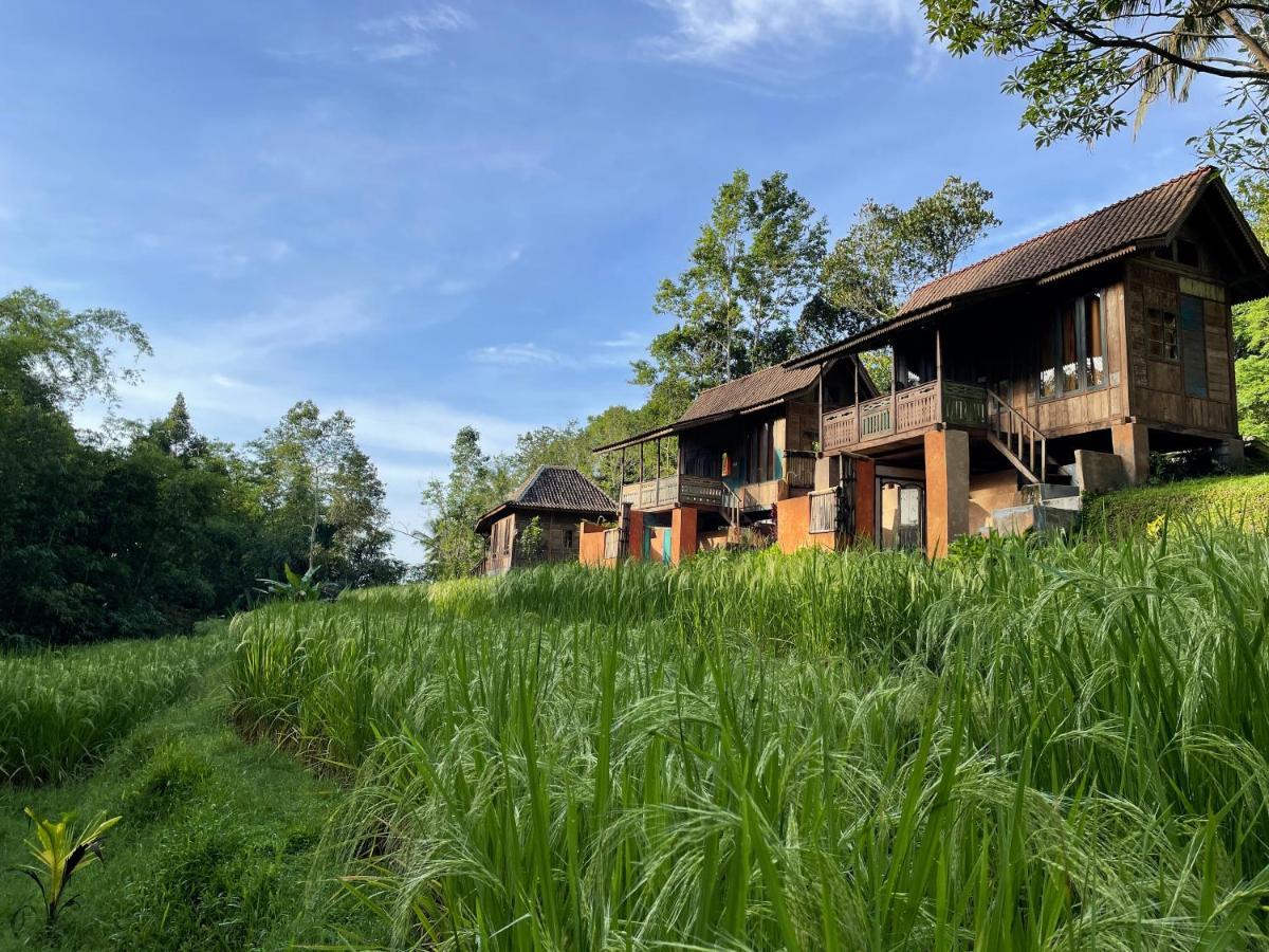 Oemah Tepi Sawah Villa Jatiluwih Eksteriør billede