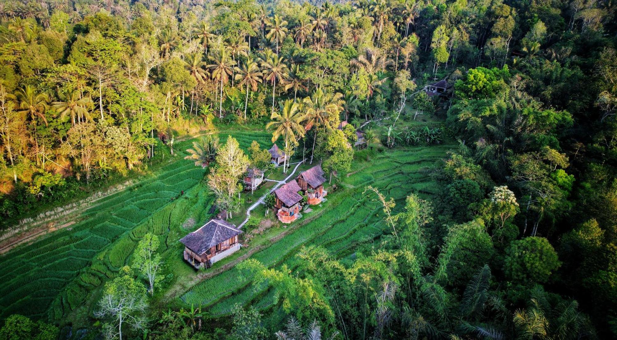 Oemah Tepi Sawah Villa Jatiluwih Eksteriør billede