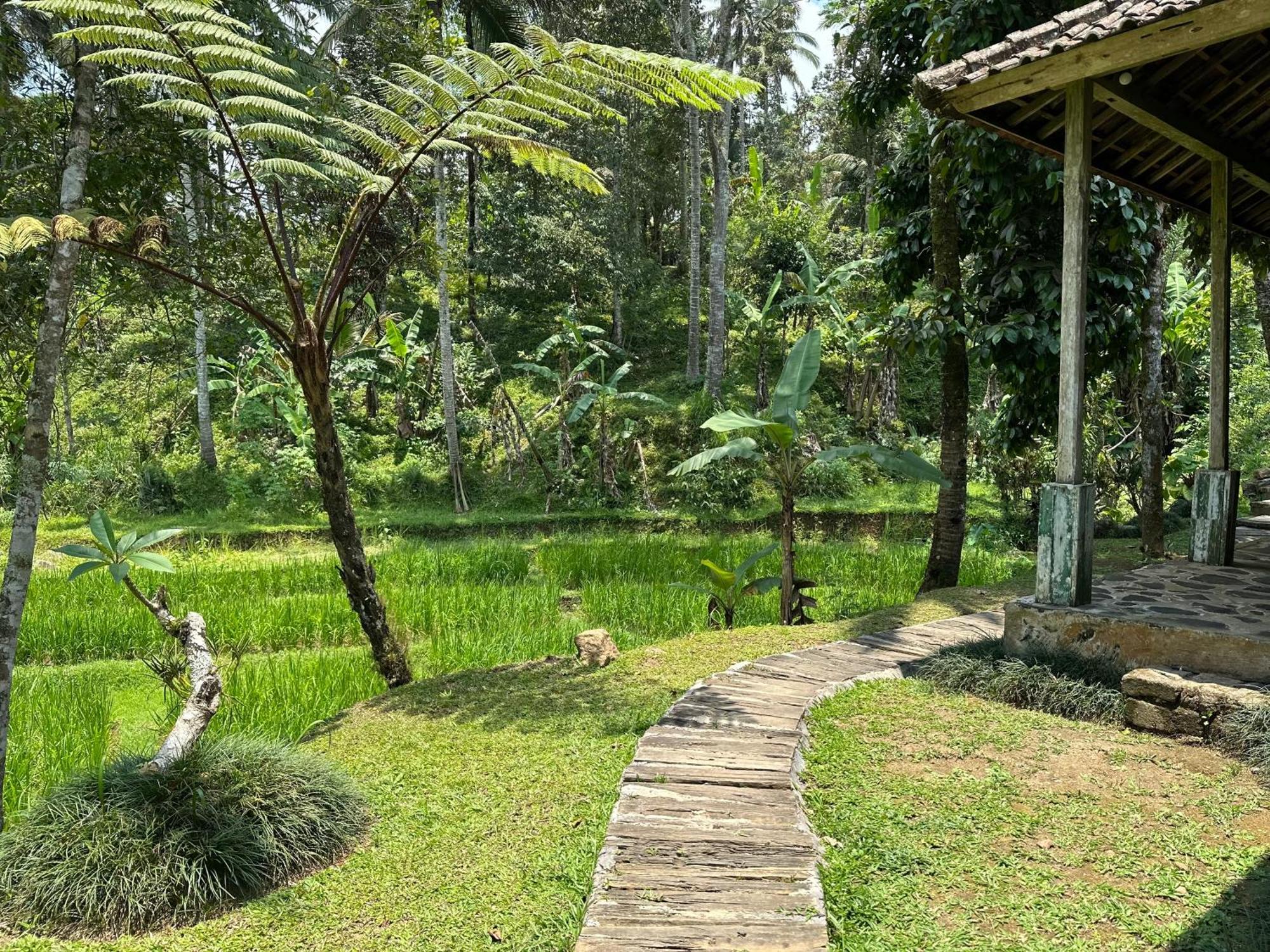 Oemah Tepi Sawah Villa Jatiluwih Eksteriør billede