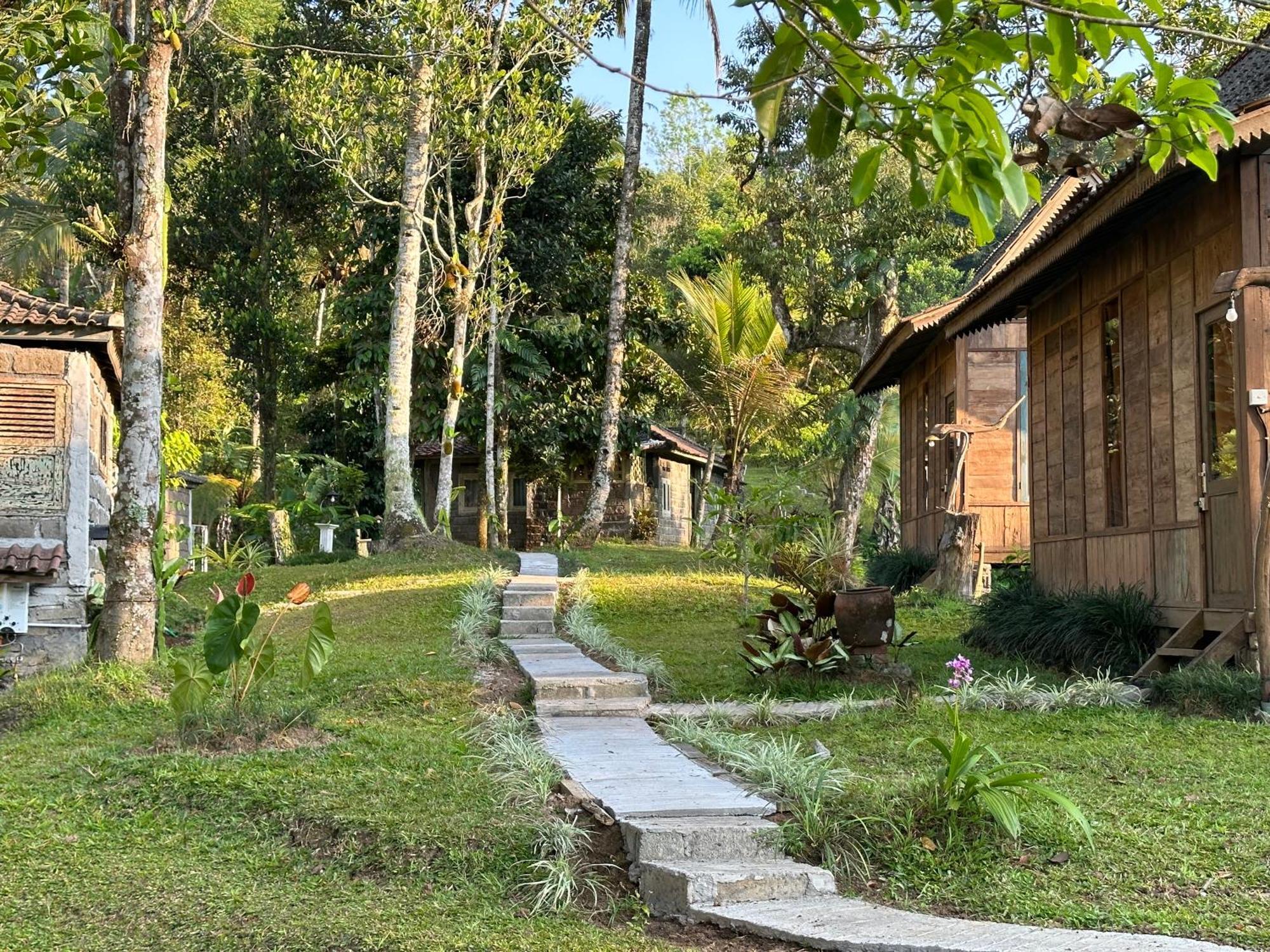 Oemah Tepi Sawah Villa Jatiluwih Eksteriør billede