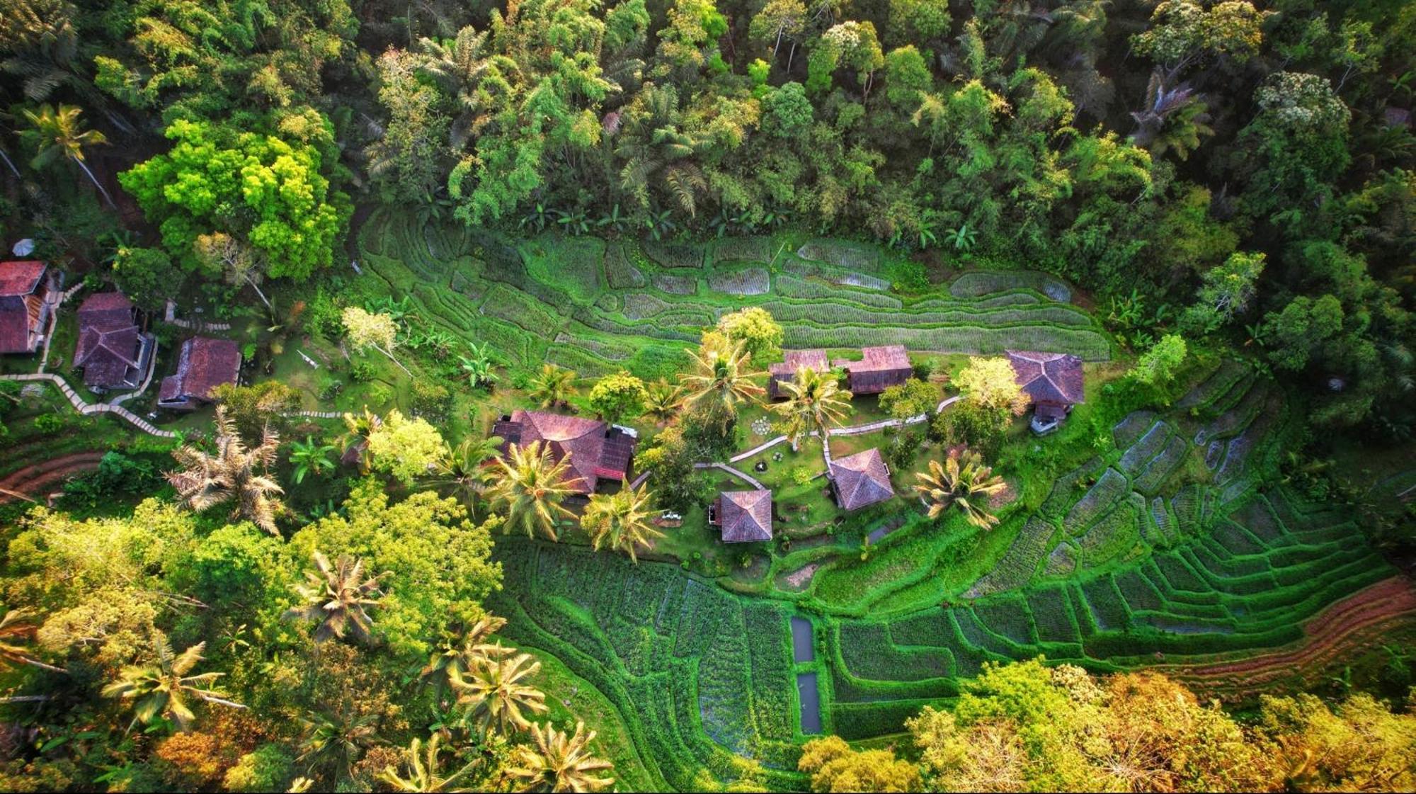 Oemah Tepi Sawah Villa Jatiluwih Eksteriør billede