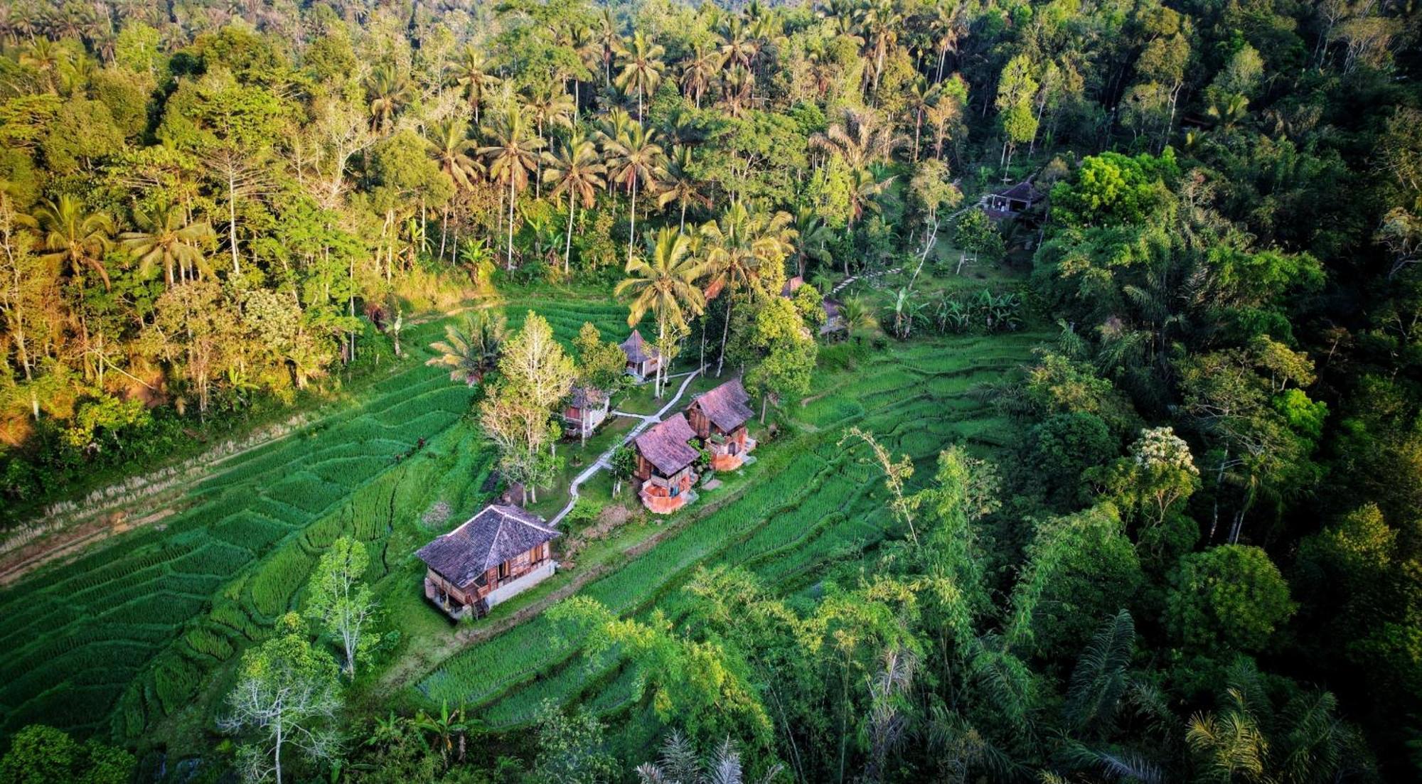 Oemah Tepi Sawah Villa Jatiluwih Eksteriør billede