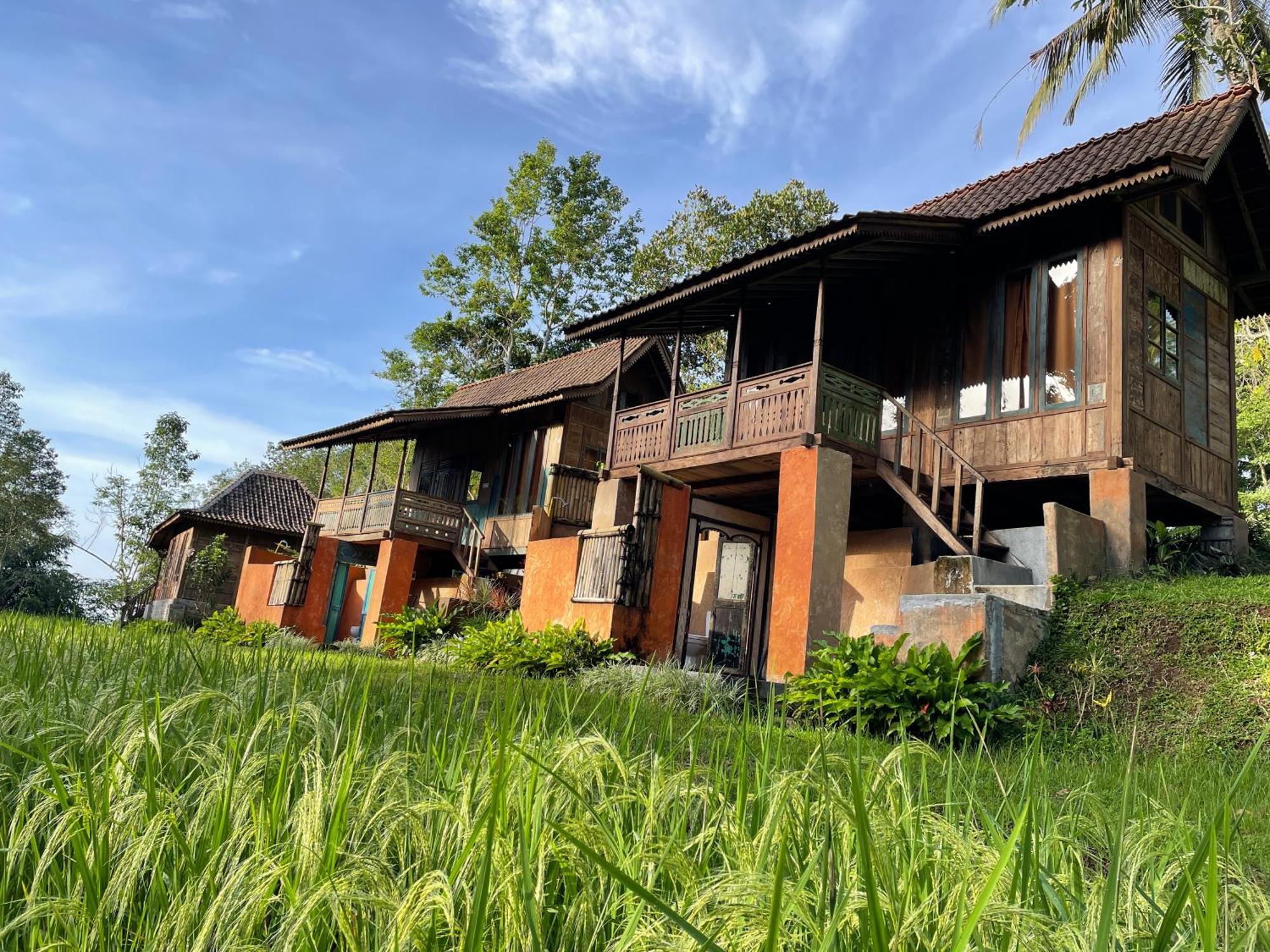 Oemah Tepi Sawah Villa Jatiluwih Eksteriør billede